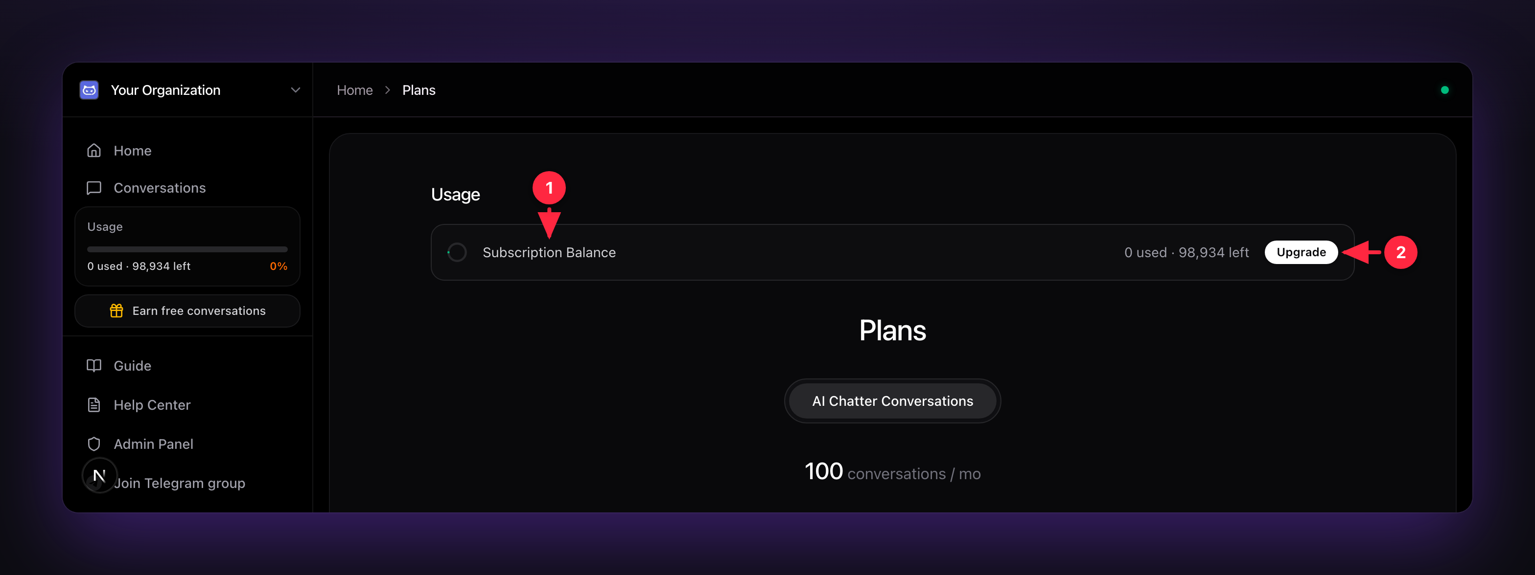 The Usage panel showing your conversation balance and how many are left